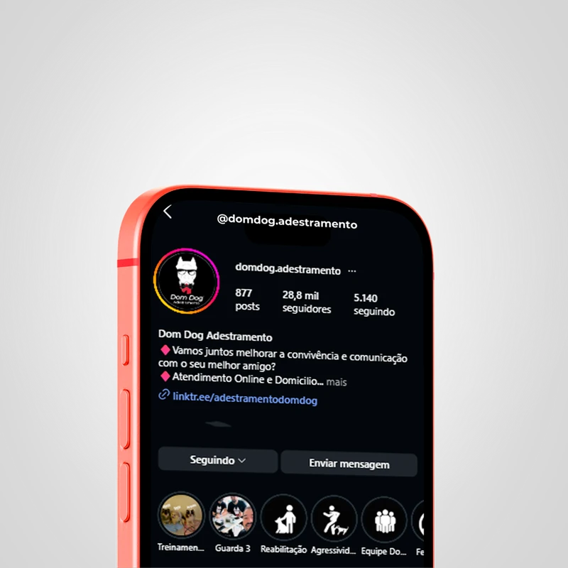 Perfil da DomDog Adestramento no Instagram