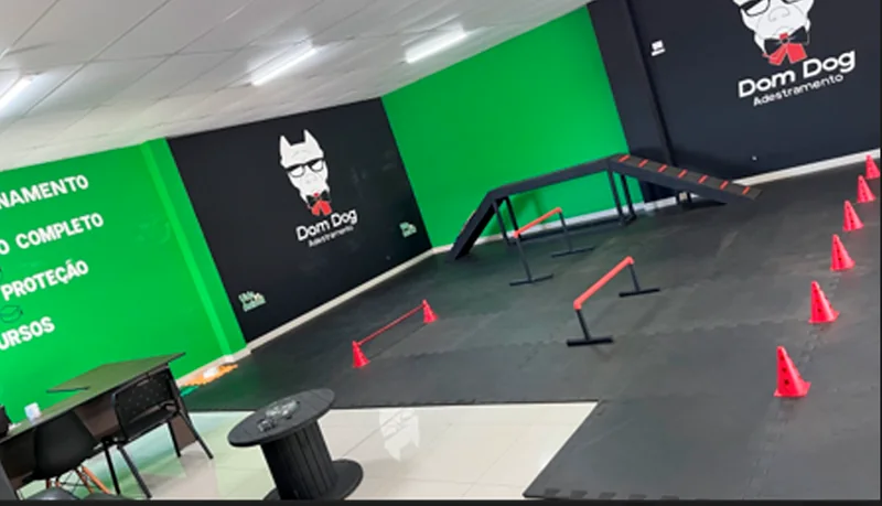 Antigo centro de treinamento DomDog, com obstáculos, cones e espaço para atividades com cães