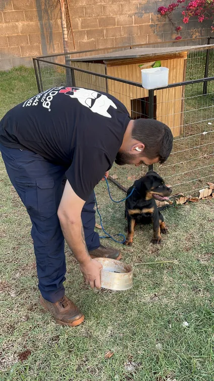 Adestrador da DomDog segurando uma tigela diante de um cão