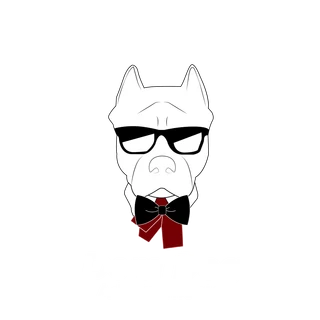 DomDog Adestramento